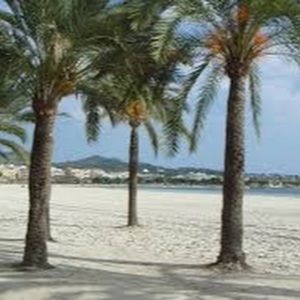 Meet your Posher, Elaine